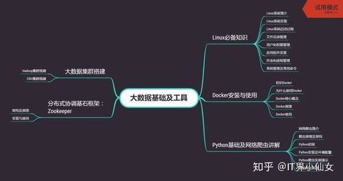 程序员如何把年龄限制转变为资历优势